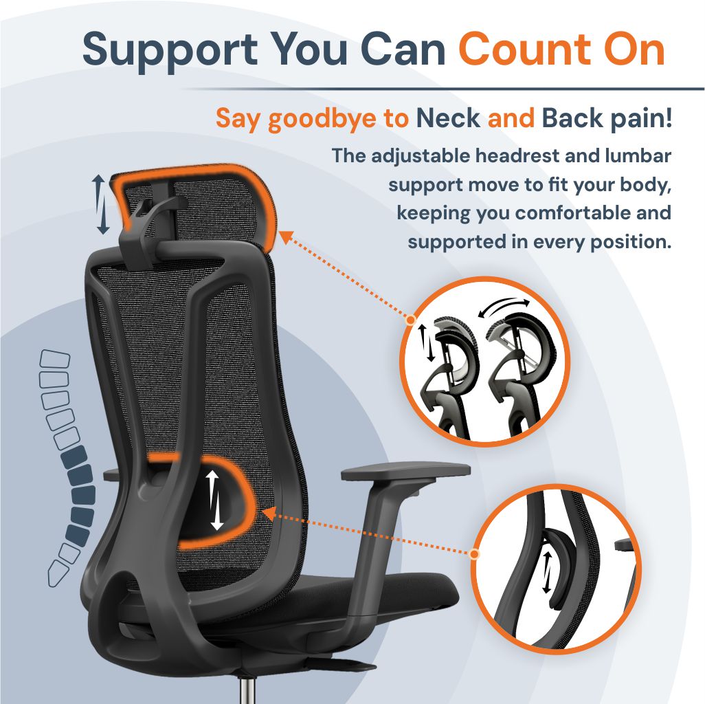 Chaise de Bureau Ergonomique Maille Premium avec Soutien Lombaire