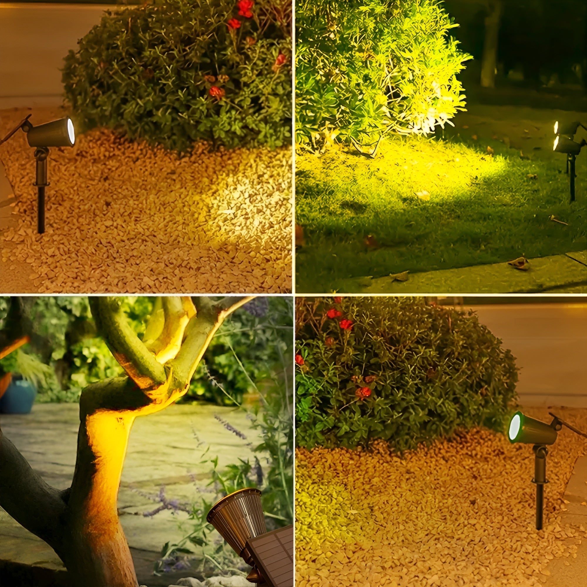 Lampe Solaire Jardin Résistante Économique LED | Set 2 ou 4 Extérieur