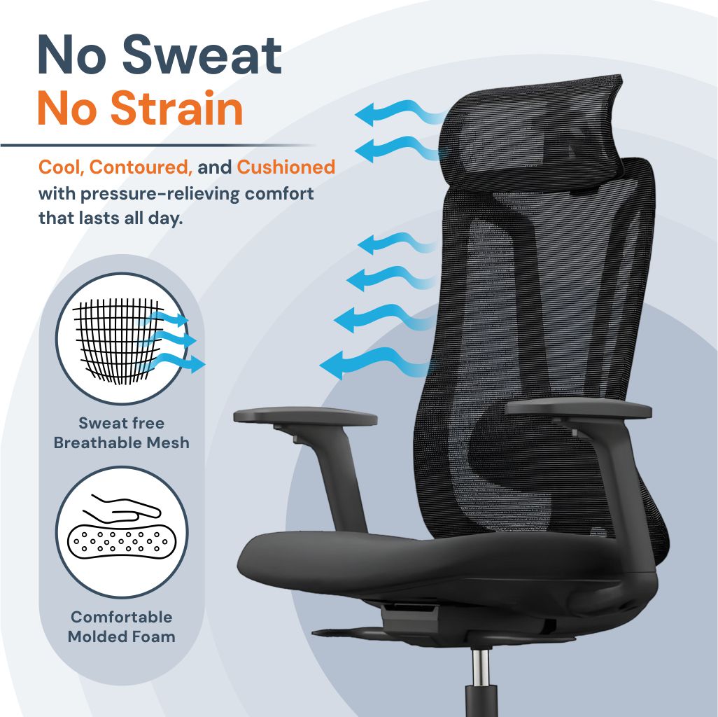 Chaise de Bureau Ergonomique Maille Premium avec Soutien Lombaire
