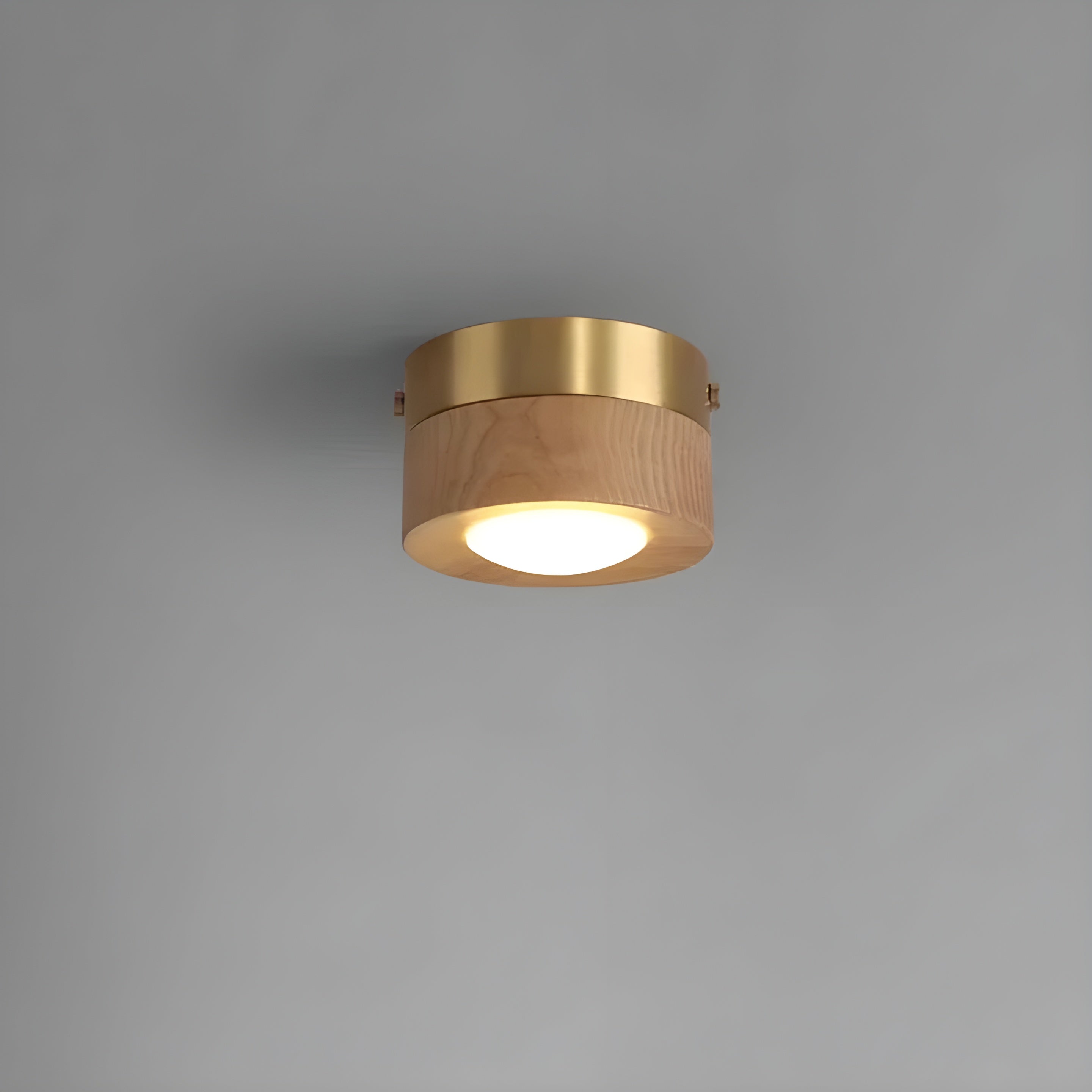 WalnutLume Plafonnier LED Noyer Moderne | Frêne B pour Salon et Séjour