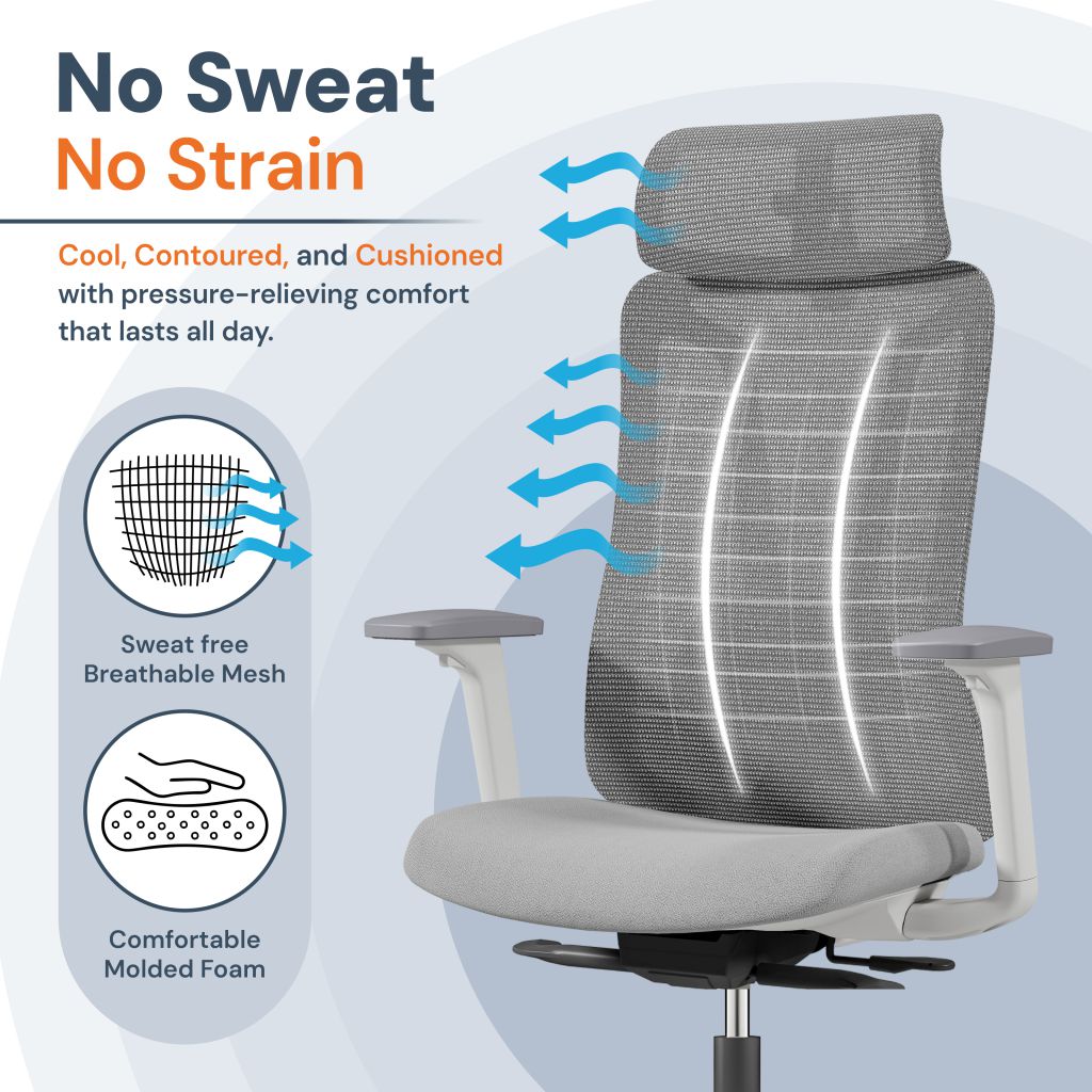 Chaise de Bureau Ergonomique Maille Premium avec Soutien Lombaire