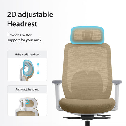Chaise Ergonomique Aera Adaptative en Maille — Couleurs Originales et 12 Réglages