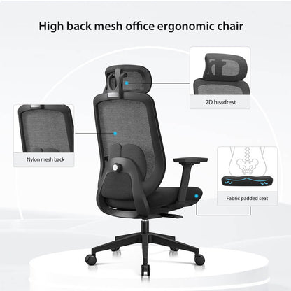 Chaise Ergonomique Aera Adaptative en Maille — Couleurs Originales et 12 Réglages