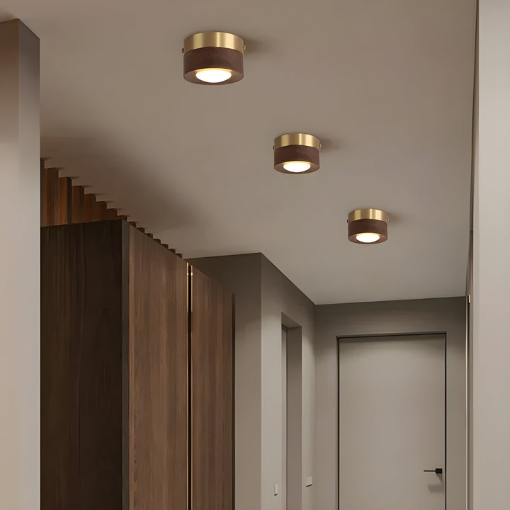 WalnutLume Plafonnier LED Noyer Moderne | Frêne B pour Salon et Séjour