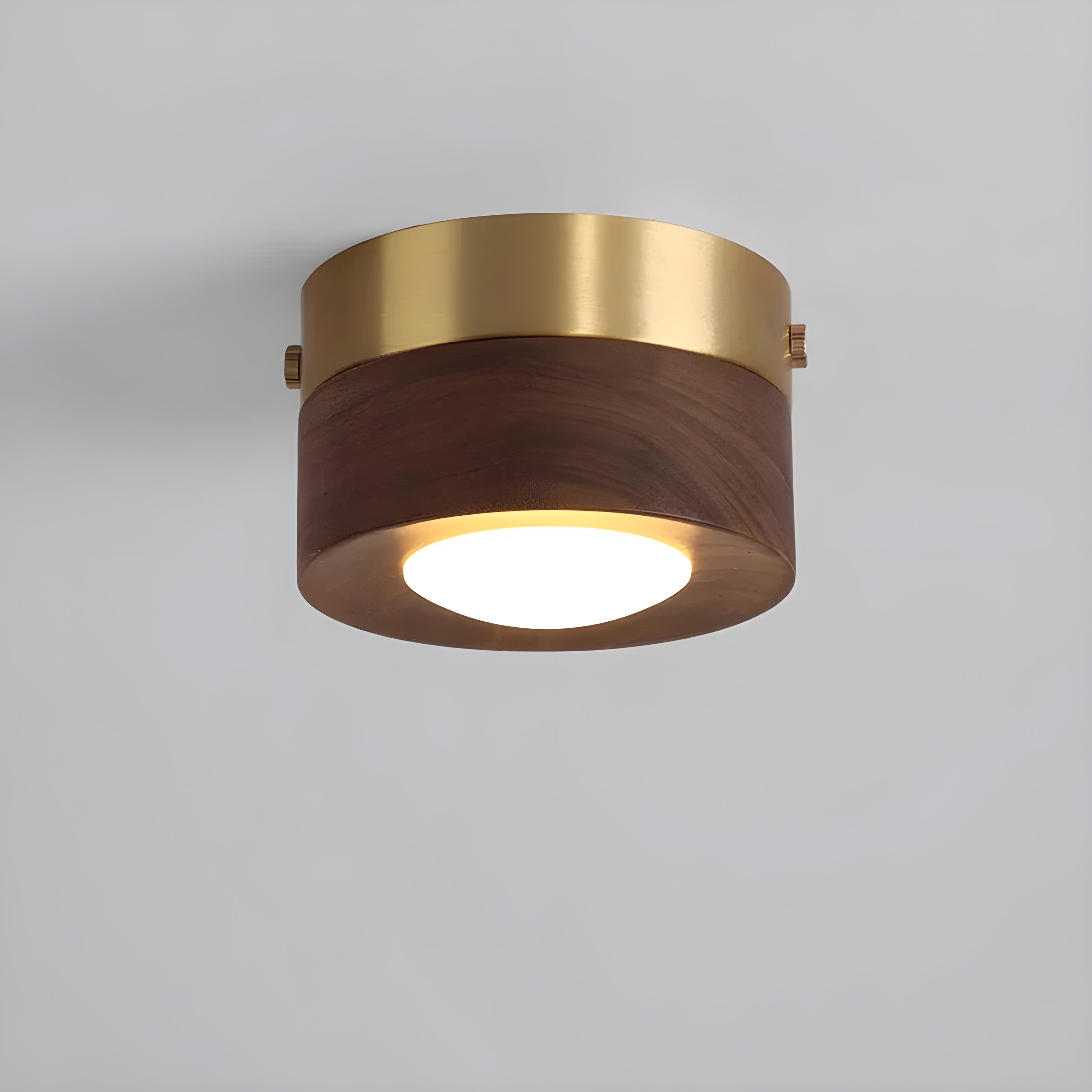 WalnutLume Plafonnier LED Noyer Moderne | Frêne B pour Salon et Séjour