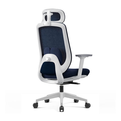 Chaise Ergonomique Aera Adaptative en Maille — Couleurs Originales et 12 Réglages