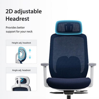 Chaise Ergonomique Aera Adaptative en Maille — Couleurs Originales et 12 Réglages
