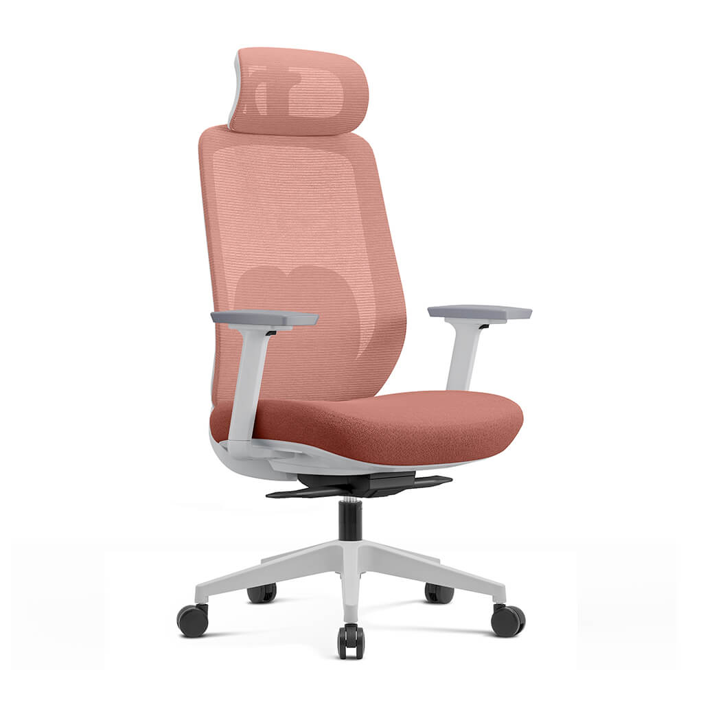 Chaise de Bureau Ergonomique Aera en Maille — 7 Couleurs disponibles