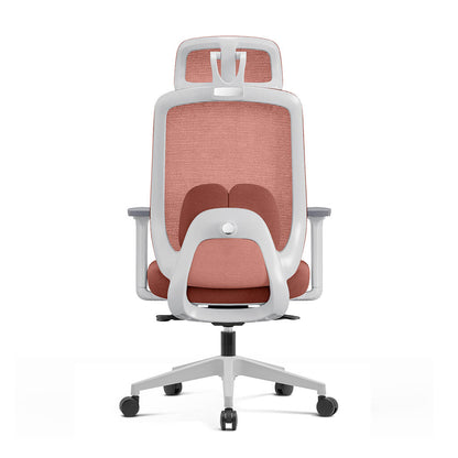 Chaise Ergonomique Aera Adaptative en Maille — Couleurs Originales et 12 Réglages