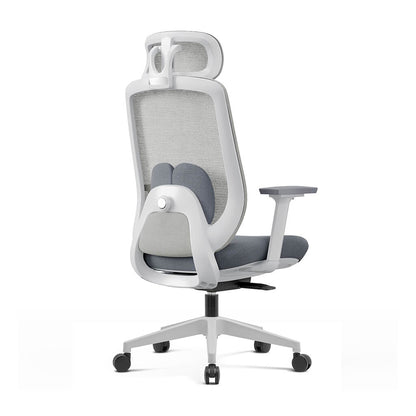 Chaise Ergonomique Aera Adaptative en Maille — Couleurs Originales et 12 Réglages