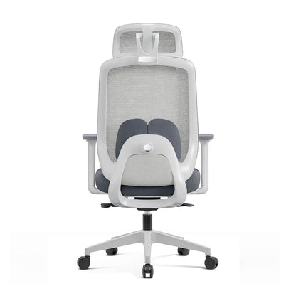 Chaise Ergonomique Aera Adaptative en Maille — Couleurs Originales et 12 Réglages